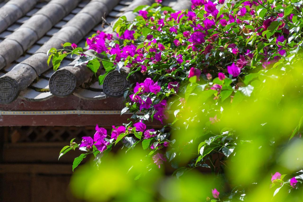 Dreamer Inn Lijiang  Exterior photo